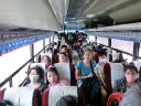 gibbon (79)